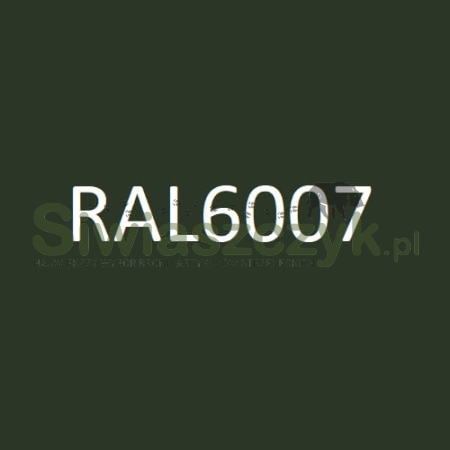 Szafa metalowa Novcan G3/S1/8 Elektronic RAL6007-111724