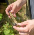 Bransoletka SURVIVAL BRACELET Paracord Coyote -103850