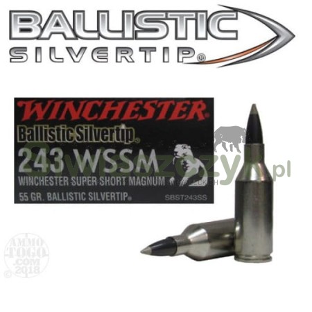 Amunicja WINCHESTER 243WSSM BST 3,56g(55gr)-102682