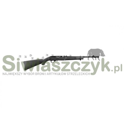 Karabinek RUGER 10/22 TDT kal.22Lr (mod.11112)-100432