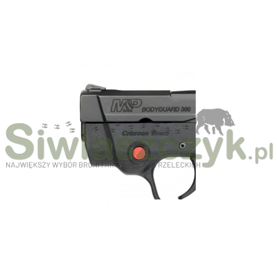 Pistolet S&W BG380 CT 2 3/4'' kal.380Auto (celownik laserowy)(10265)-100301