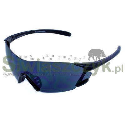 Okulary EVOLUTION switch 4-103276
