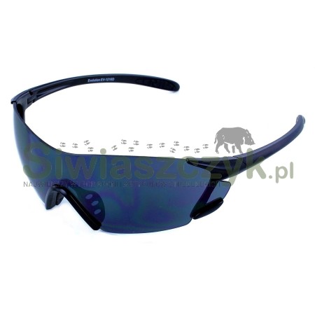 Okulary EVOLUTION switch 4-103276