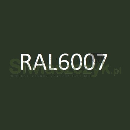 Szafa metalowa Novcan G3/S1/1 RAL6007-106730