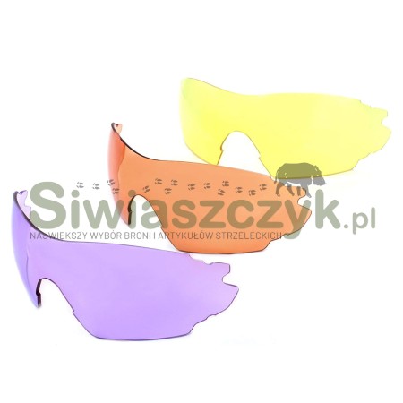 Okulary EVOLUTION switch 4-103277