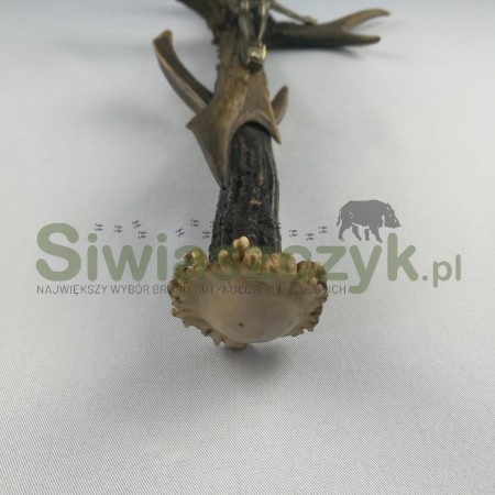 Krzyżyk z poroża-106962
