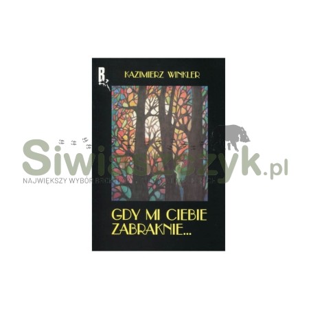 Książka "Gdy mi Ciebie zabraknie"-107269