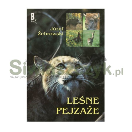 Książka "Leśne pejzarze"-107412