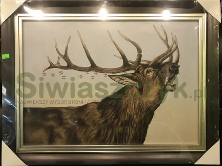 Obraz jeleń płótno Canvas 60x70-108194