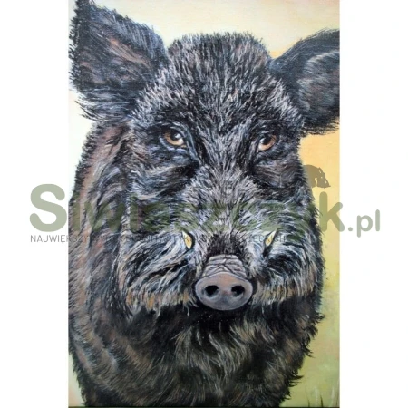 Obraz dzik płótno Canvas 60x70-107684