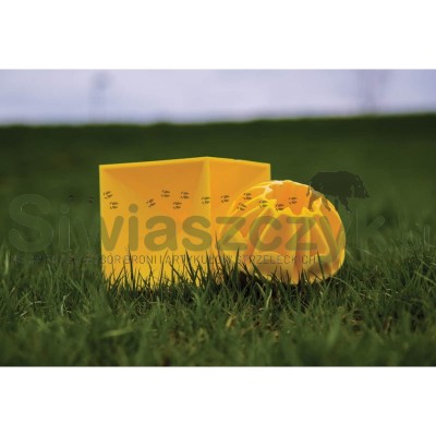 Cel strzelecki CALDWELL sześcian 5'' (897597)-110725