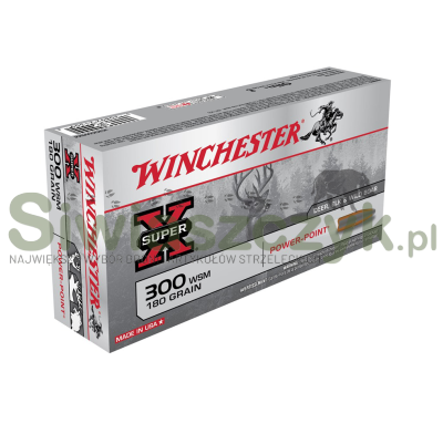 Amunicja WINCHESTER 300WSM Power Point 11,7g(180gr)-110939