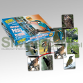 Gra edukacyjna MEMORY- Ptaki-115338
