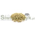 Pociski ALSA PRO 9mm FMJ 8,0g(124gr)-115870