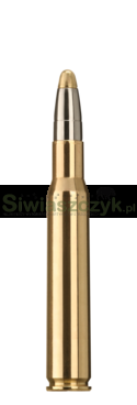 Amunicja RWS .30-06 EVO 11,9g (184gr)-7a2fe4cc131a9cfa2cbecc8bb82513d1