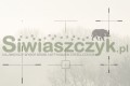 Luneta noktowizyjna INFIRAY Tube-TD50L + laser 940mm-0f0e79bcf45e33169bce4214365462ca