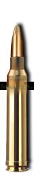 Amunicja GECO 300Win.Mag. PLUS 11,0g(170gr)-c214897405875c852a051153143a7d21