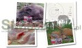 Amunicja NORMA 30-06 TIPSTRIKE 11g (170gr)-1b60f6989239387125f8e4ae9f223e08