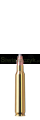 Amunicja RWS 223 Rem TMS 3,6 g (55gr)-f06315ff1ba69f6d3c1f384d62641f3e