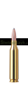 Amunicja RWS .243 Win. TMS 6,5g(100gr)-e8575b8e9df87400da352d20352dec9a