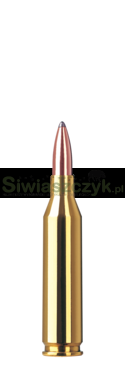 Amunicja RWS .243 Win. TMS 6,5g(100gr)-e8575b8e9df87400da352d20352dec9a