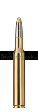 Amunicja RWS .270 Win. EVO 10g(154gr)-da2654c688a44069934c32d5d000ba52