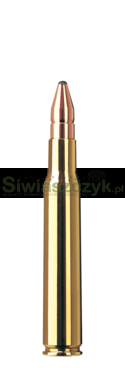 Amunicja RWS .30-06 DK 10,7 g (165gr)-4b389847fd023f38fcff7e3cf94bc3e0