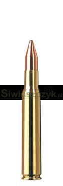 Amunicja RWS .30-06 KS 10,7g (165gr)-193713c6ab233b2aa80512aae6c23368