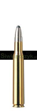 Amunicja RWS 30-06 UNI Classic 13g(200gr)-e03a002ef53aaf6c09645387ea744723