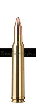 Amunicja RWS 300Win.Mag KS 10,7g (165gr)-aec749c79dab8f13539cfec01d22e704
