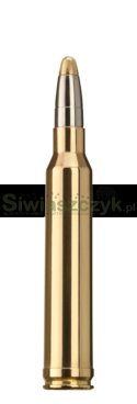 Amunicja RWS 300Win.Mag. EVO 11,9g(184gr)-c7af96e93a3b90518d7a562595af1f70