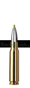 Amunicja RWS .308 Win. EVO GREEN 8,8g(136gr)-eafd38456113a3e12a9c46cf5413942f
