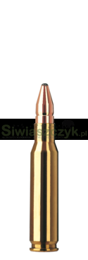 Amunicja RWS .308 Win. DK 10,7g (165gr)-697a7c9f98e10442330aa521c0b54717