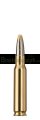Amunicja RWS 308 Win. EVO 11,9g (184gr)-7c0804de6d14027458961b7f8ae80810