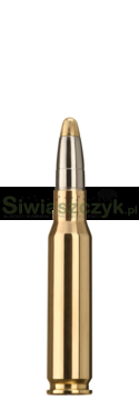 Amunicja RWS 308 Win. EVO 11,9g (184gr)-7c0804de6d14027458961b7f8ae80810