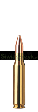 Amunicja RWS .308 Win. KS 9,7 g (150gr)-e3c3d6913cb4a3d013032fbf99b91031
