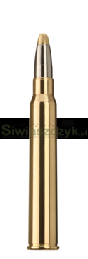 Amunicja RWS .30 R Blaser EVO 11,9 g (184gr)-aea205ed29fa5c07a897db31f8d183ca
