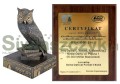Lornetka Delta Optical Forest II 10x50 (DO-1301)-a380706387d2ada61458ad57dc910ec7