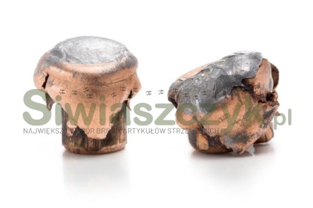 Amunicja NORMA 308 WIN Oryx 11,7g (180gr)-124670