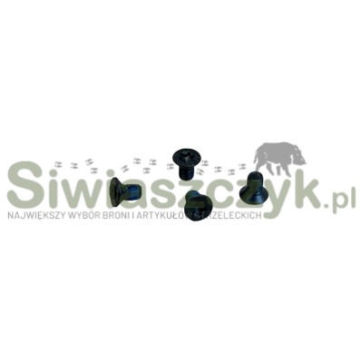 Śruba do pokrywy HS H11 RDR M3x5-125054