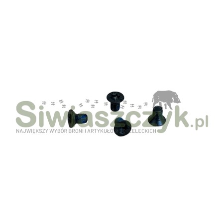 Śruba do pokrywy HS H11 RDR M3x5-125054