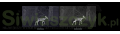 Termowizor INFIRAY EYE III EH35-ffff92ad8025fb6b0e663b008e49e690