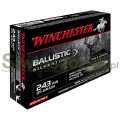 Amunicja WINCHESTER 243Win BALLISTIC SILVERTIP 6,16g(95gr)-138472