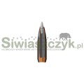 Amunicja WINCHESTER 243Win BALLISTIC SILVERTIP 6,16g(95gr)-138474