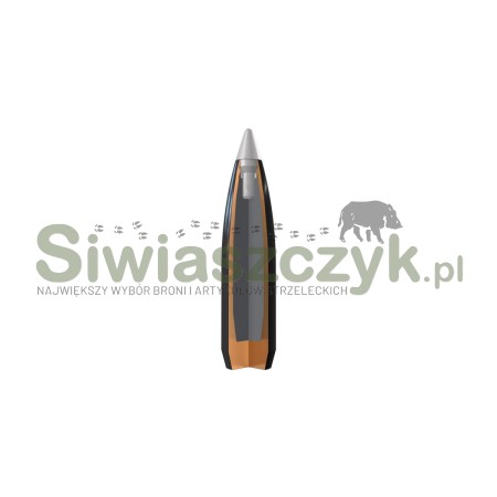 Amunicja WINCHESTER 243Win BALLISTIC SILVERTIP 6,16g(95gr)-138474