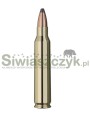 Amunicja RWS 223 Rem TMS 3,6g(55gr)-139869