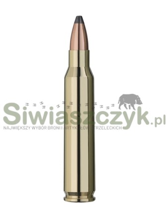 Amunicja RWS 223 Rem TMS 3,6g(55gr)-139869