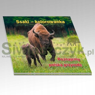 Kolorowanka Ssaki-156993