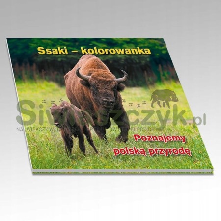 Kolorowanka Ssaki-156993