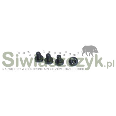 Śruby do montażu Aimpoint Micro M3x4 T10 (4 szt.) (11866)-158211
